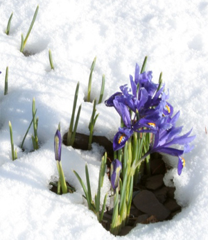 lange Berufserfahrung